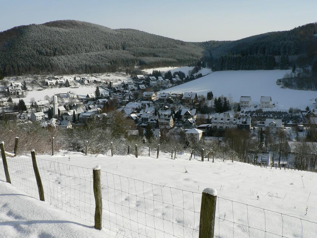 Landhaus Silberberg Winterberg Zewnętrze zdjęcie